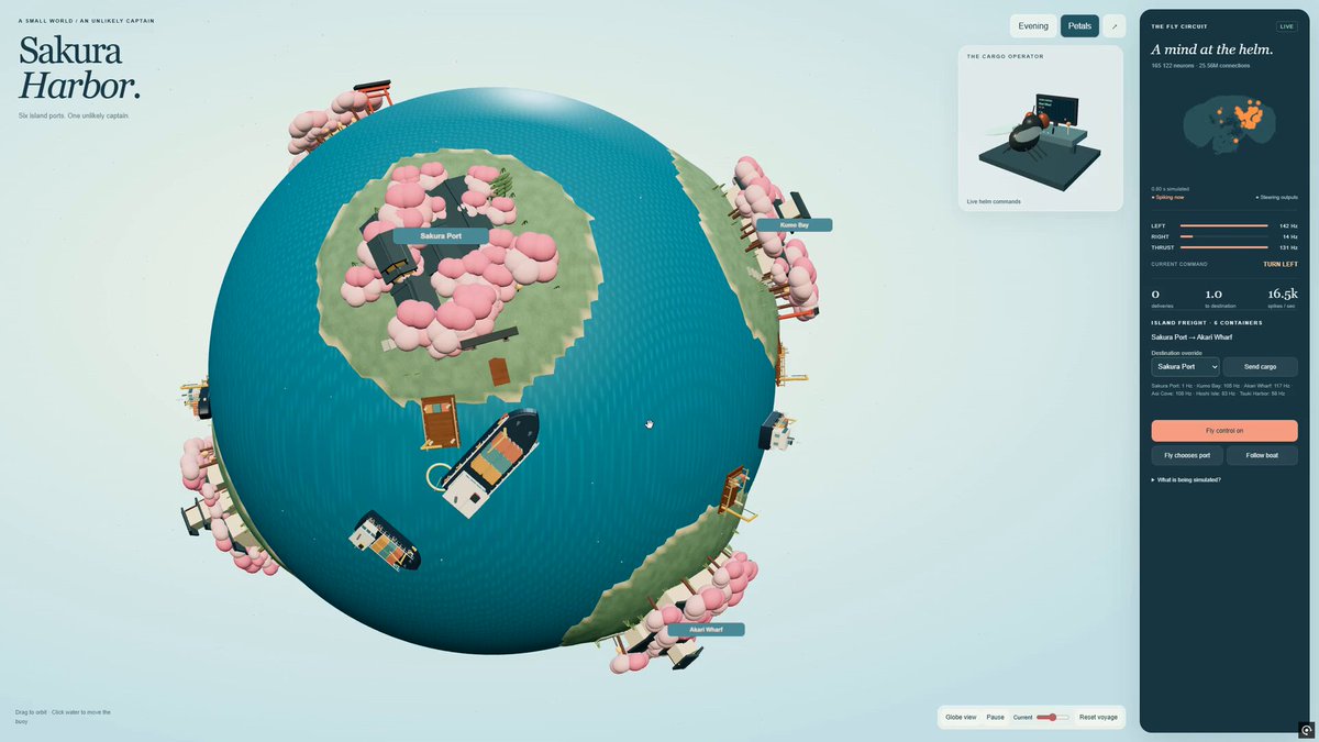 Fly Brain Cargo Simulation 提示词示例图