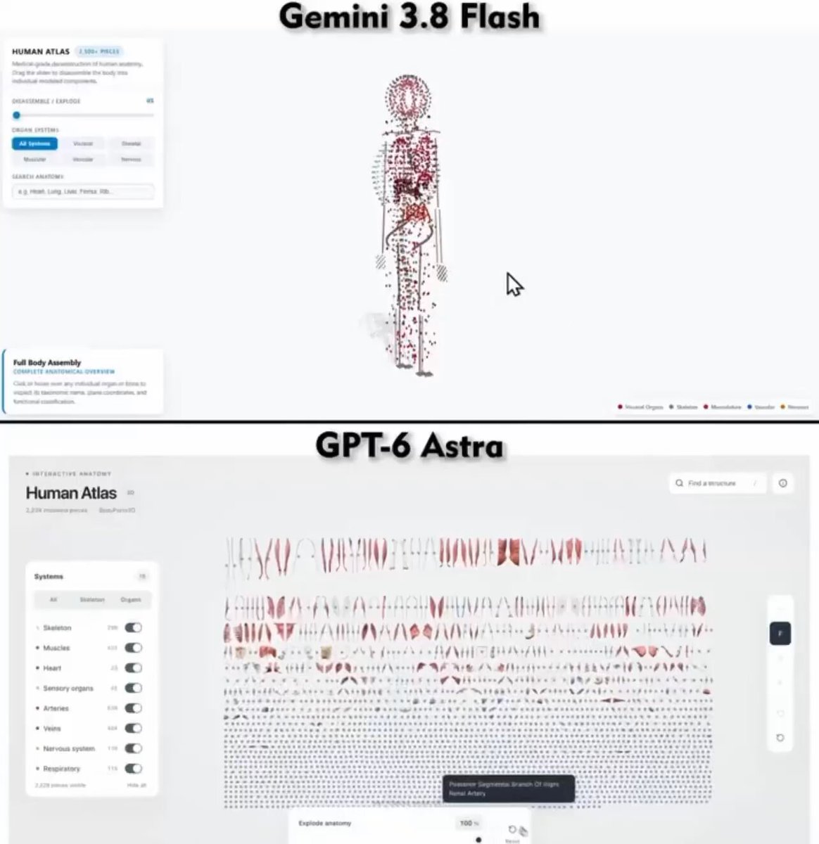交互式 3D 人体解剖学网站 提示词示例图