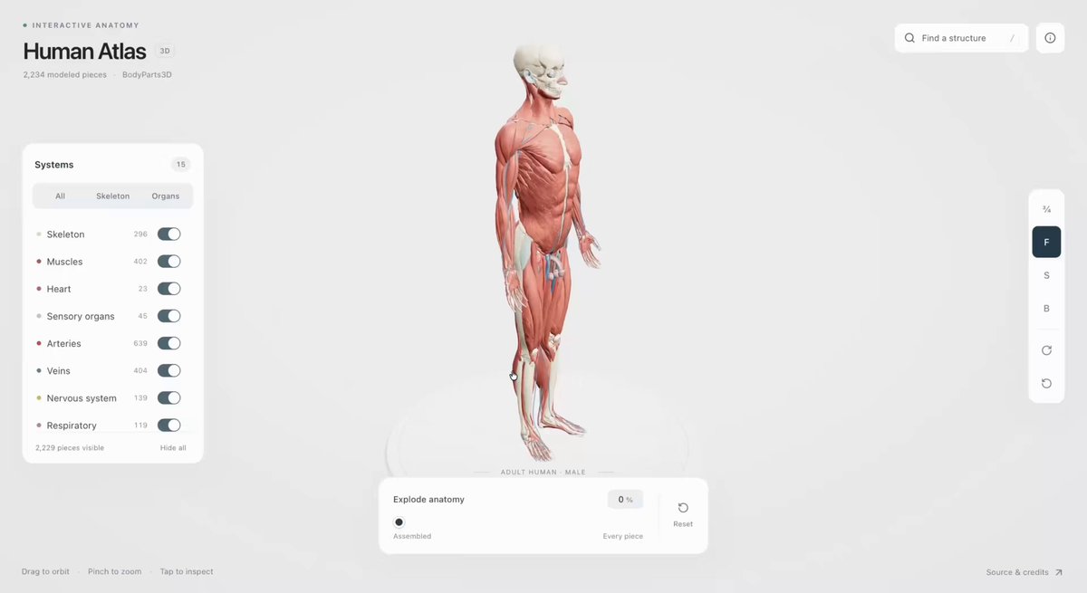 3D 人体解剖交互式网站 提示词示例图